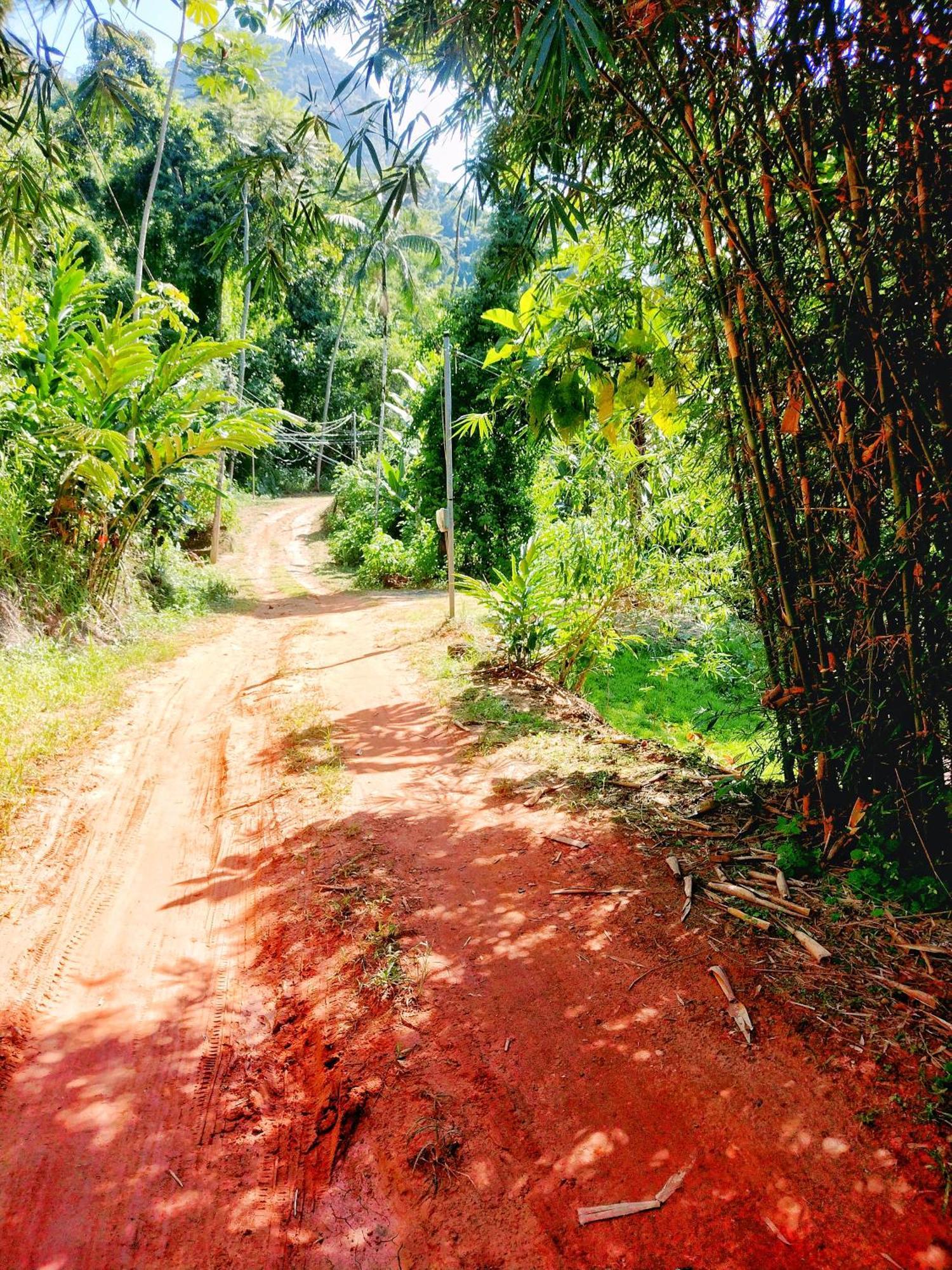 Homestay Refugio Paraty