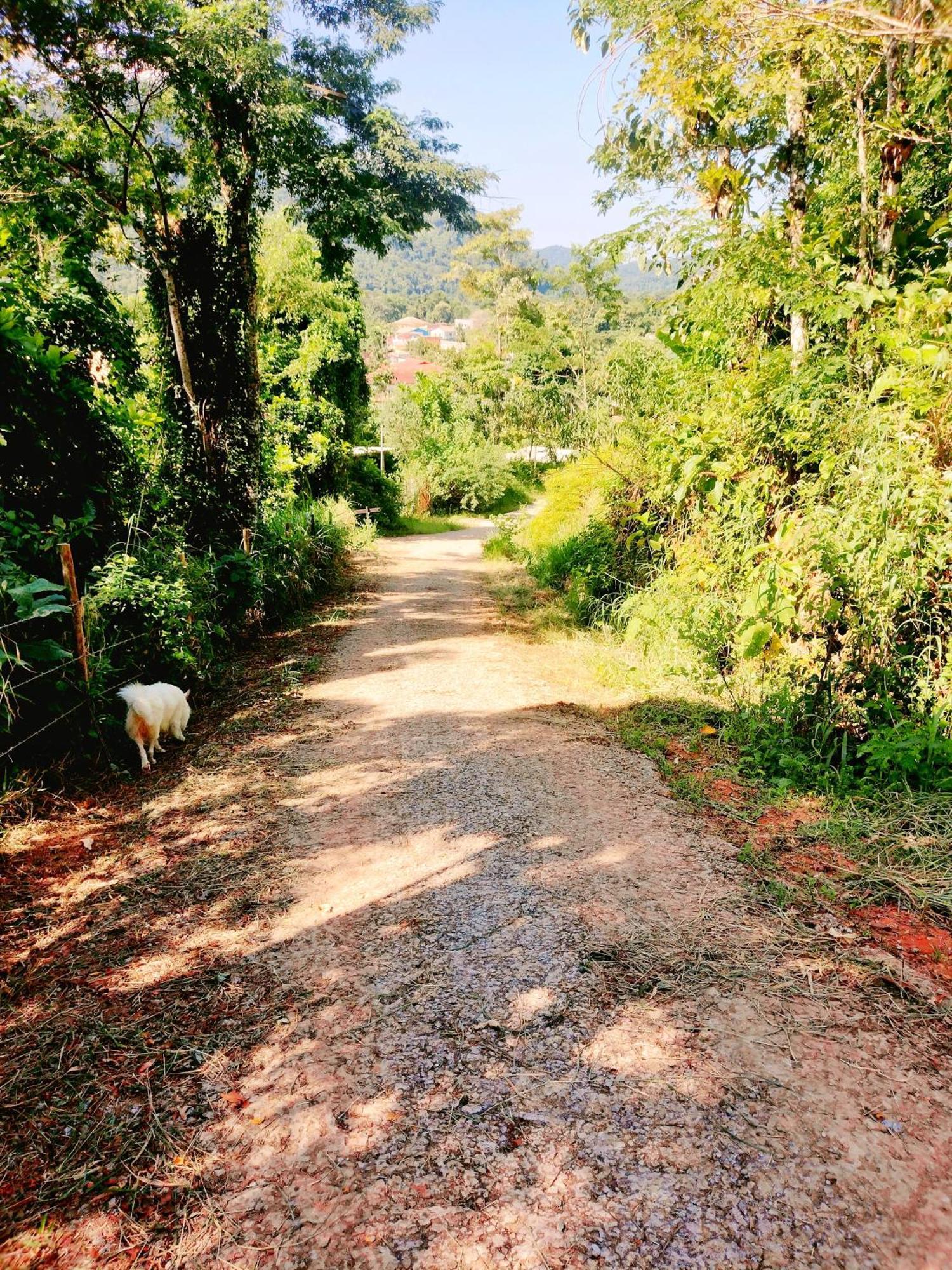 Homestay Refugio Paraty
